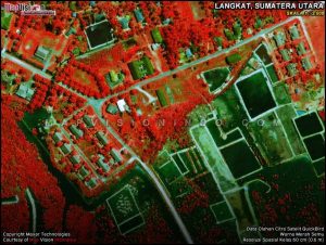Citra Satelit QuickBird Warna Merah Semu Kab. Langkat, Sumatera Utara, Skala 1:2.500