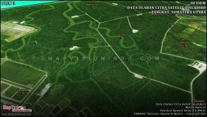 3D View Citra Satelit QuickBird
