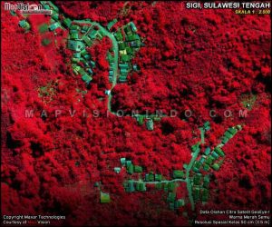 Citra Satelit GeoEye-1 Warna Merah Semu