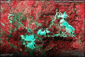 Citra Satelit Landsat 7 Hasil Olahan Warna Merah Semu Skala 50 Ribu