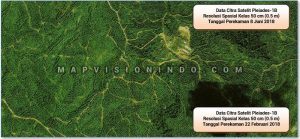 Citra Satelit Setelah Cutline (Garisnya Dihilangkan)