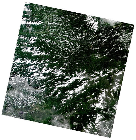 Citra Satelit Landsat 9 Hasil Pansharpening dengan Tampilan Warna Natural – Seluruh Scene