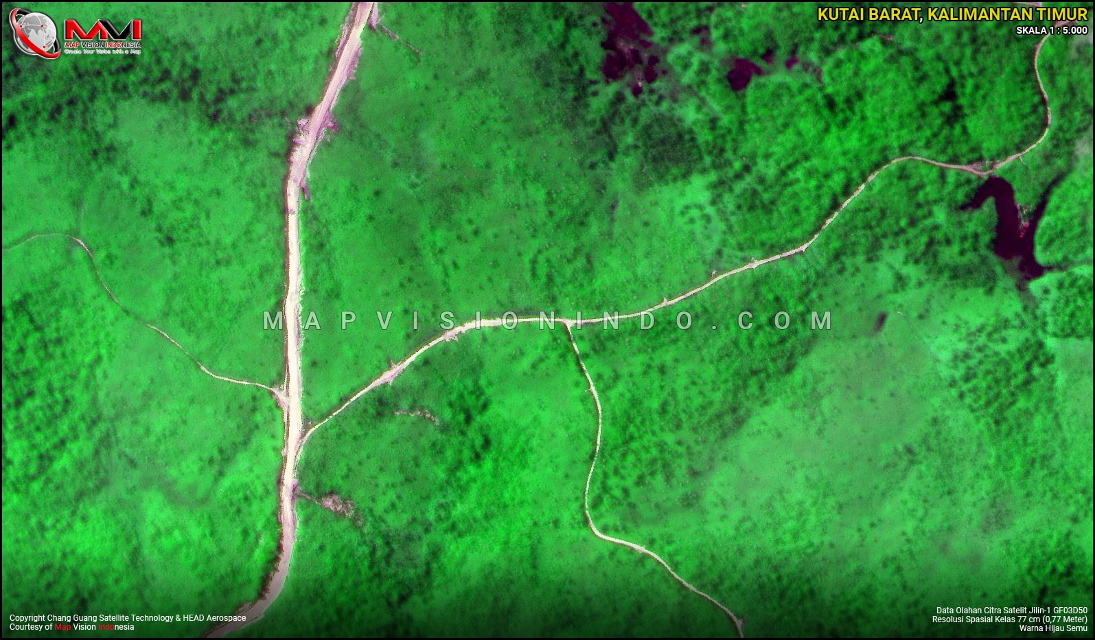 Data Olahan Citra Satelit Jilin-1 Warna Hijau Semu