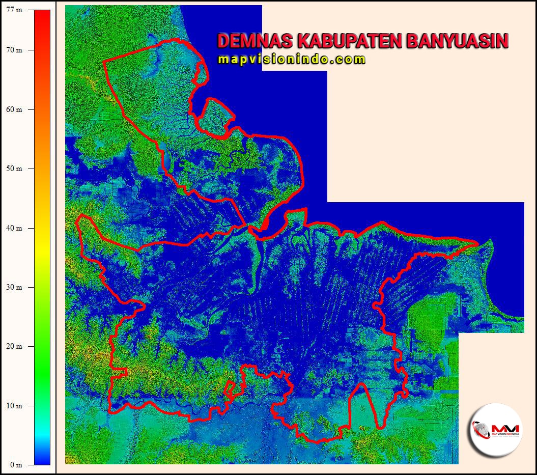 DEMNAS Kabupaten Banyuasin DEMNAS Kabupaten Banyuasin